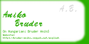 aniko bruder business card